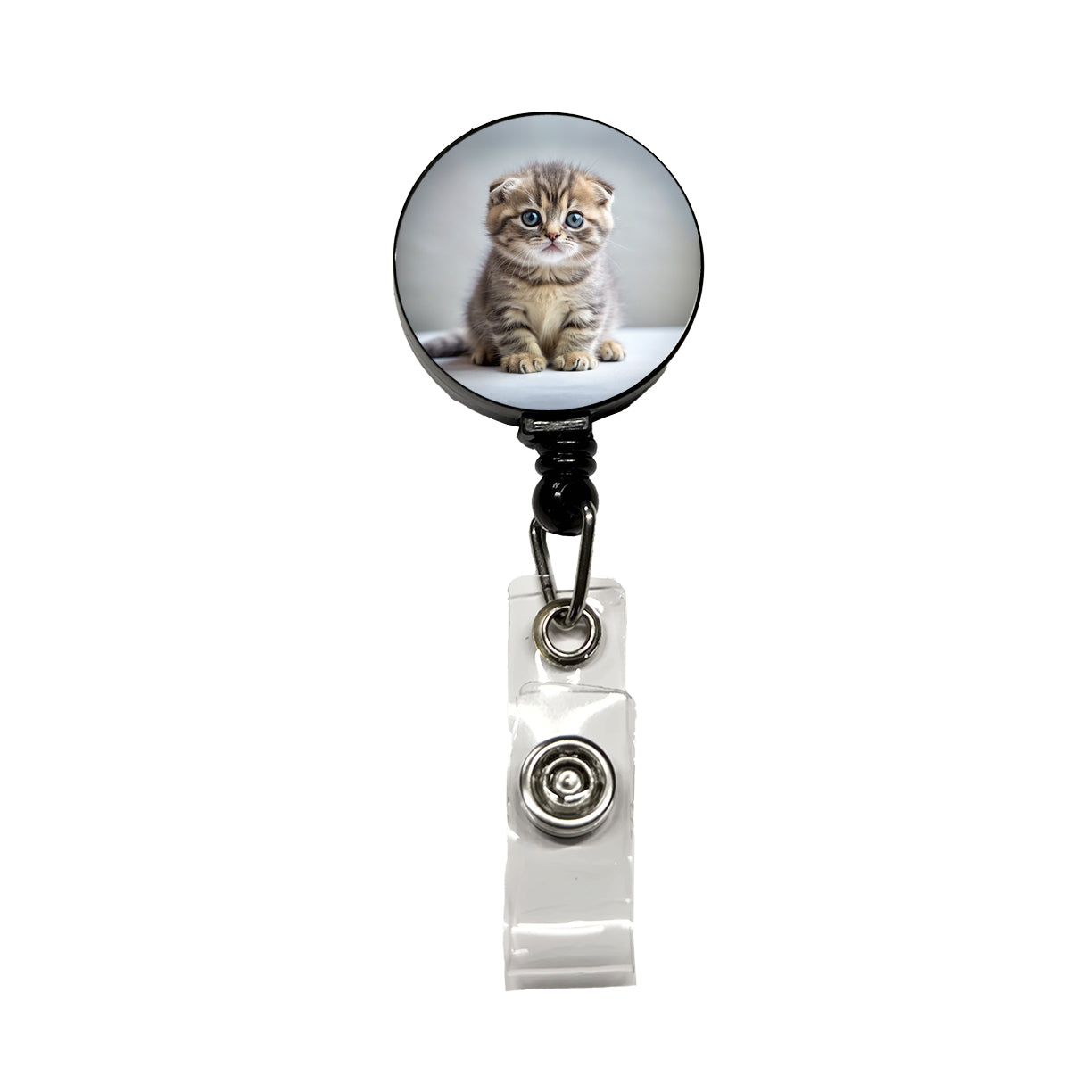 Scottish Fold Cat Kitten Photo Retractable ID Key Card Name Tag Badge Holder with Clip