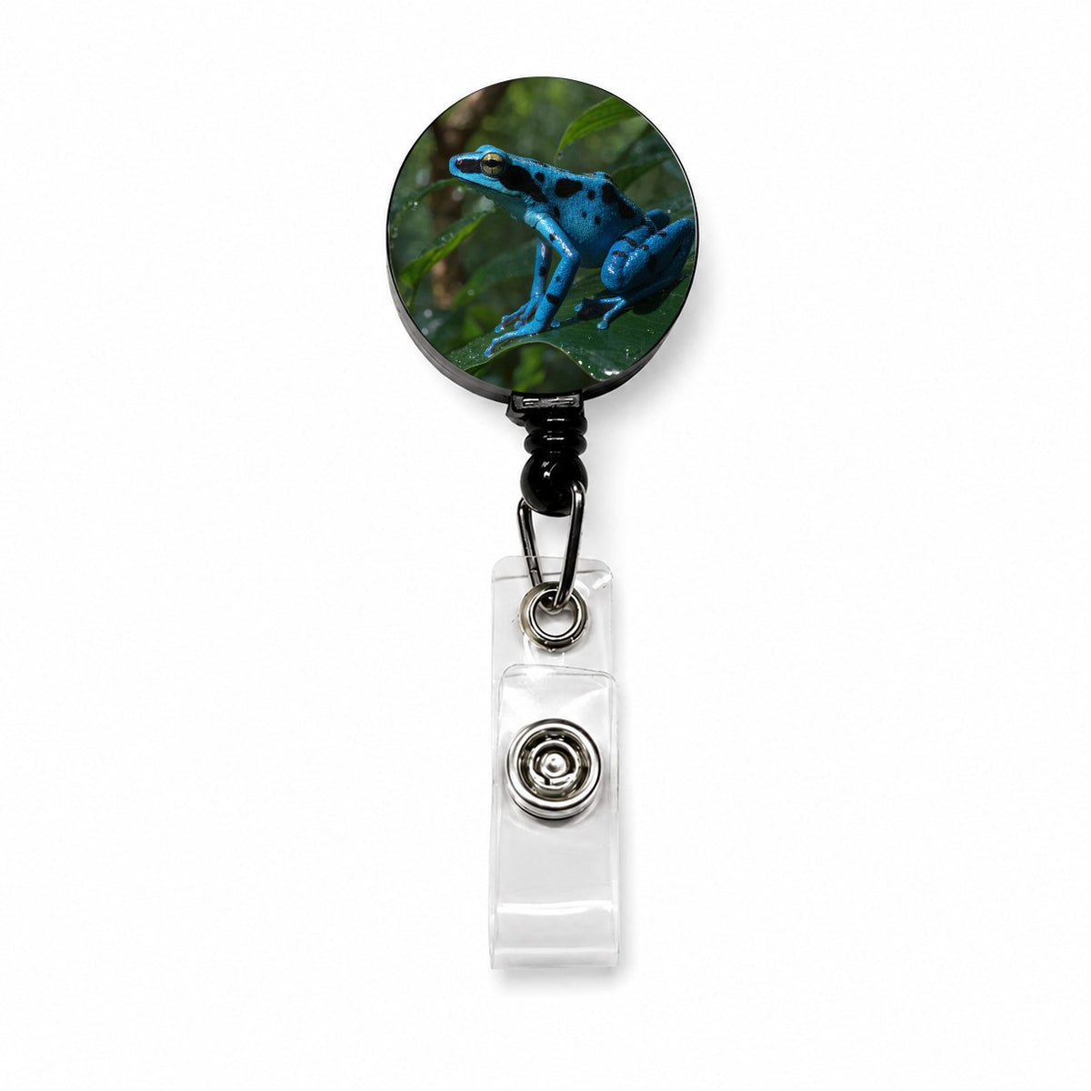 Blue Poison Dart Frog Retractable ID Key Card Name Tag Badge Holder with Clip