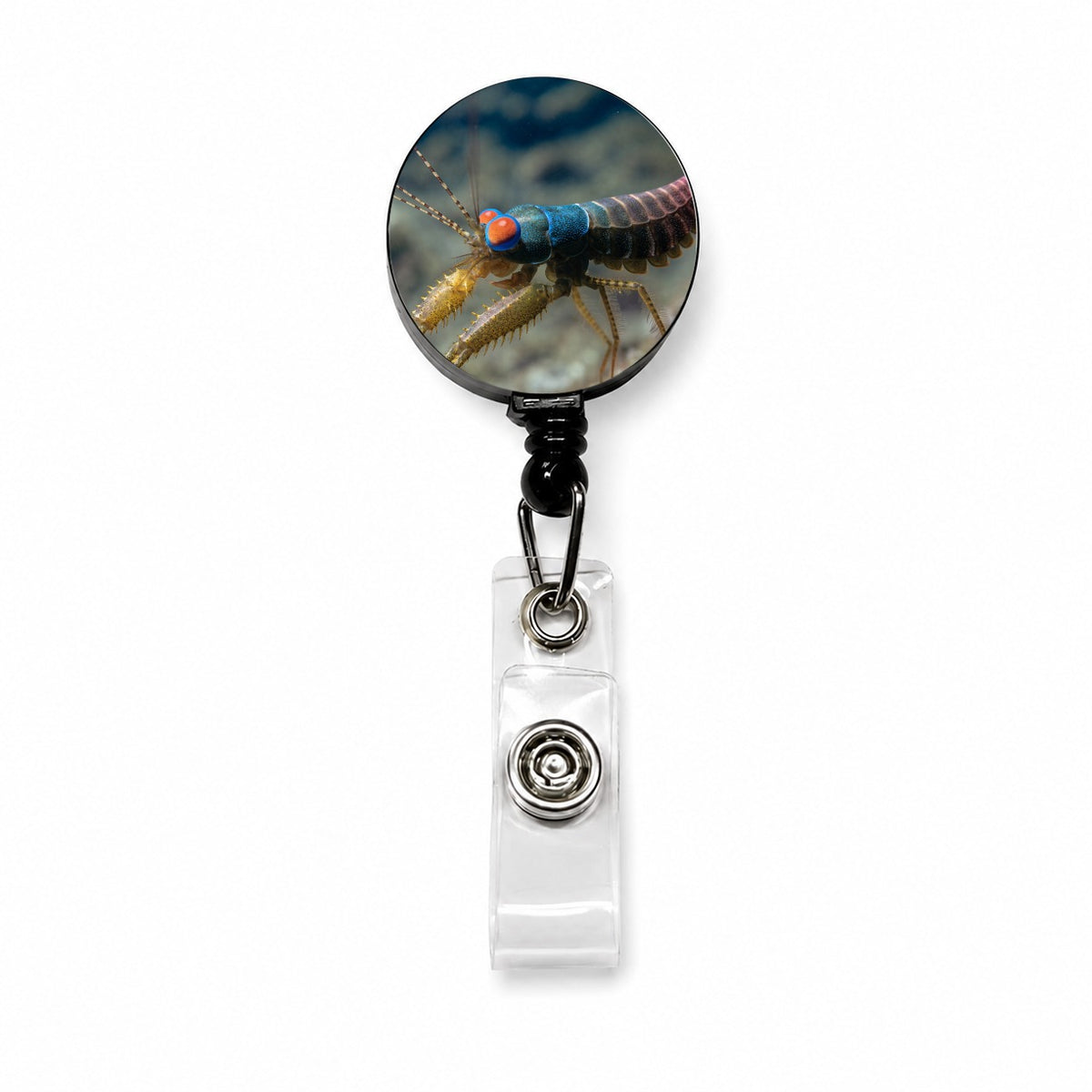 Mantis Shrimp Retractable ID Key Card Name Tag Badge Holder with Clip