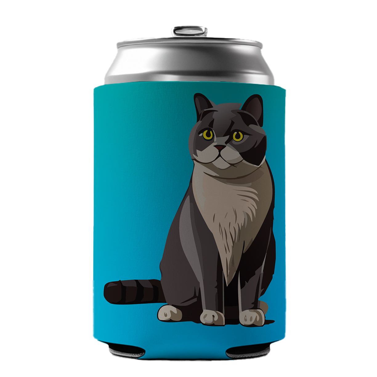 British Shorthair Cat Sitting Can Cooler Beer Soda Drink Insulated Holder Sleeve Hugger