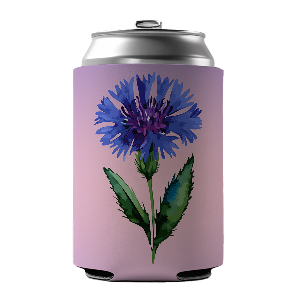 Cornflower Bachelors Buttons Flowers Blue Can Cooler Beer Soda Drink Insulated Holder Sleeve Hugger