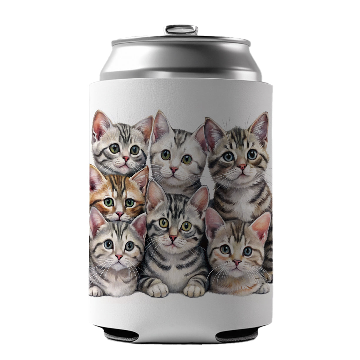 Sweet American Shorthair Cats Can Cooler Beer Soda Drink Insulated Holder Sleeve Hugger