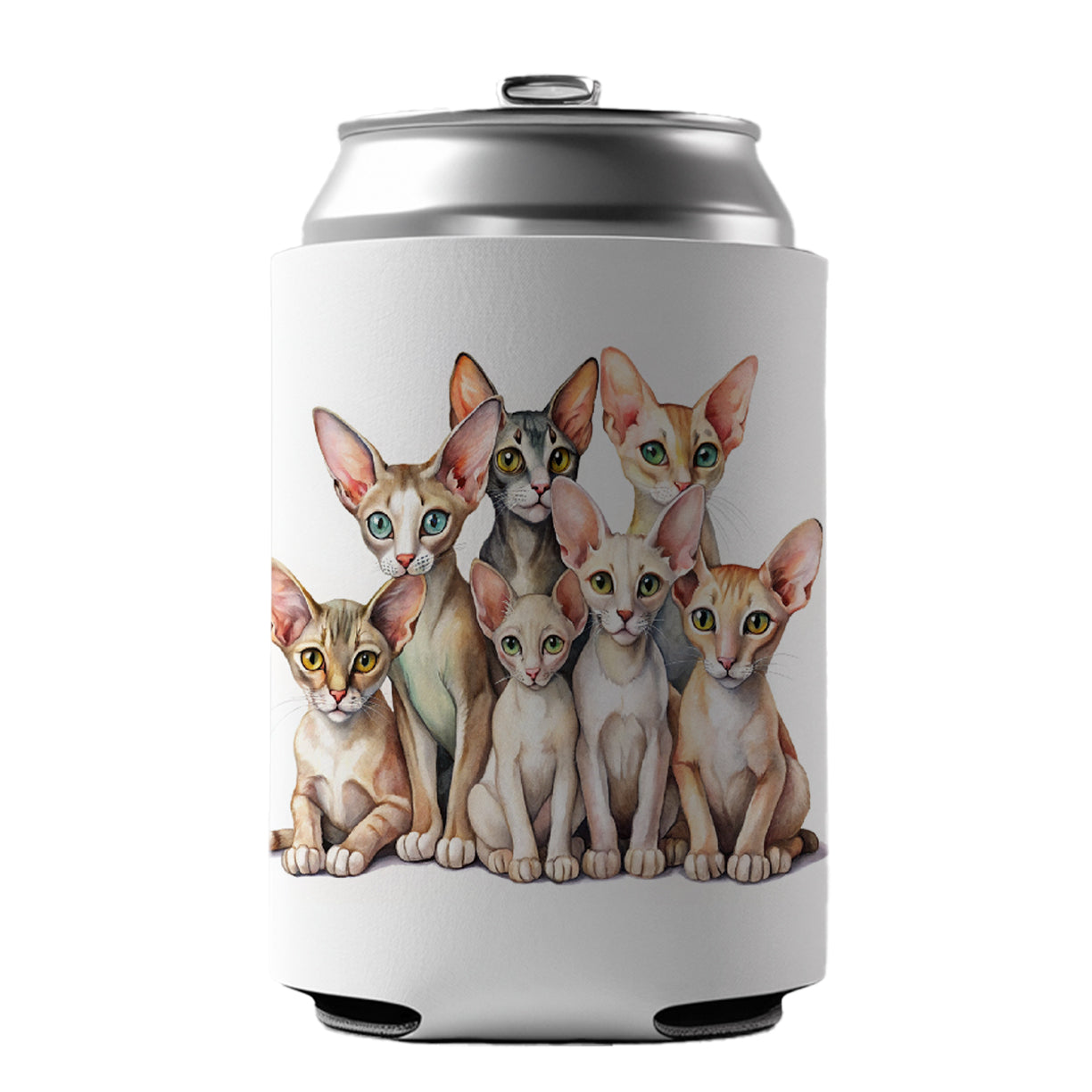 Sweet Oriental Shorthair Cats Can Cooler Beer Soda Drink Insulated Holder Sleeve Hugger