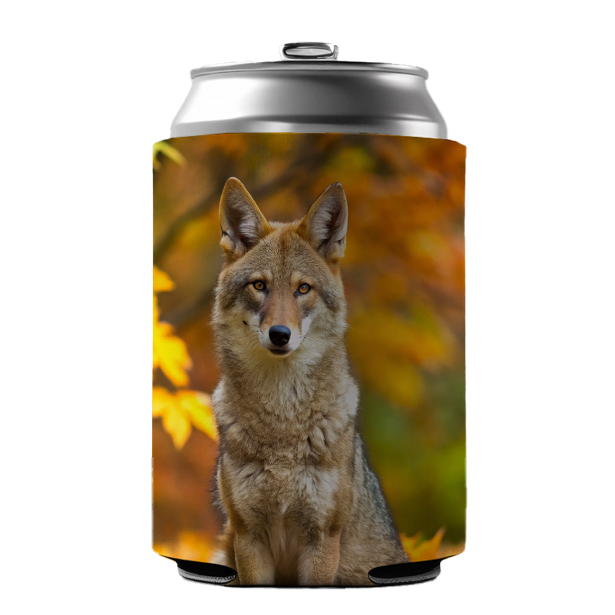 Coyote Sitting In The Fall Leaves Can Cooler Beer Soda Drink Insulated Holder Sleeve Hugger