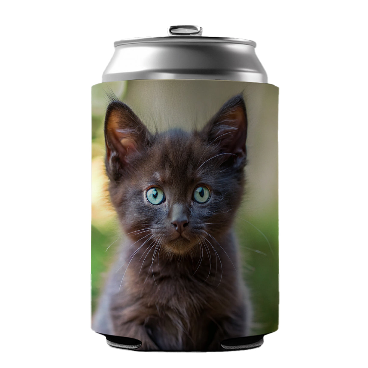 Black Cat Kitten Photo Can Cooler Beer Soda Drink Insulated Holder Sleeve Hugger