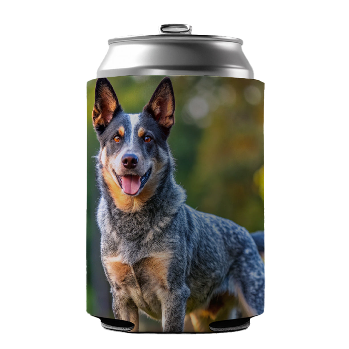 Australian Cattle Dog Photo Can Cooler Beer Soda Drink Insulated Holder Sleeve Hugger