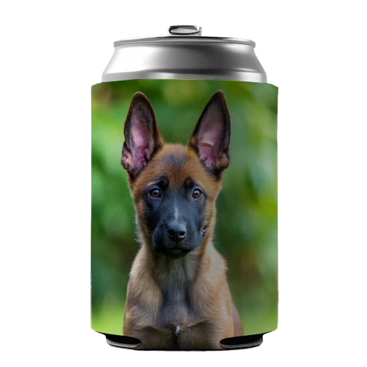 Belgian Malinois Dog Puppy Photo Can Cooler Beer Soda Drink Insulated Holder Sleeve Hugger