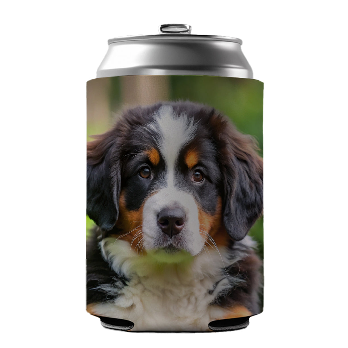 Bernese Mountain Dog Puppy Photo Can Cooler Beer Soda Drink Insulated Holder Sleeve Hugger