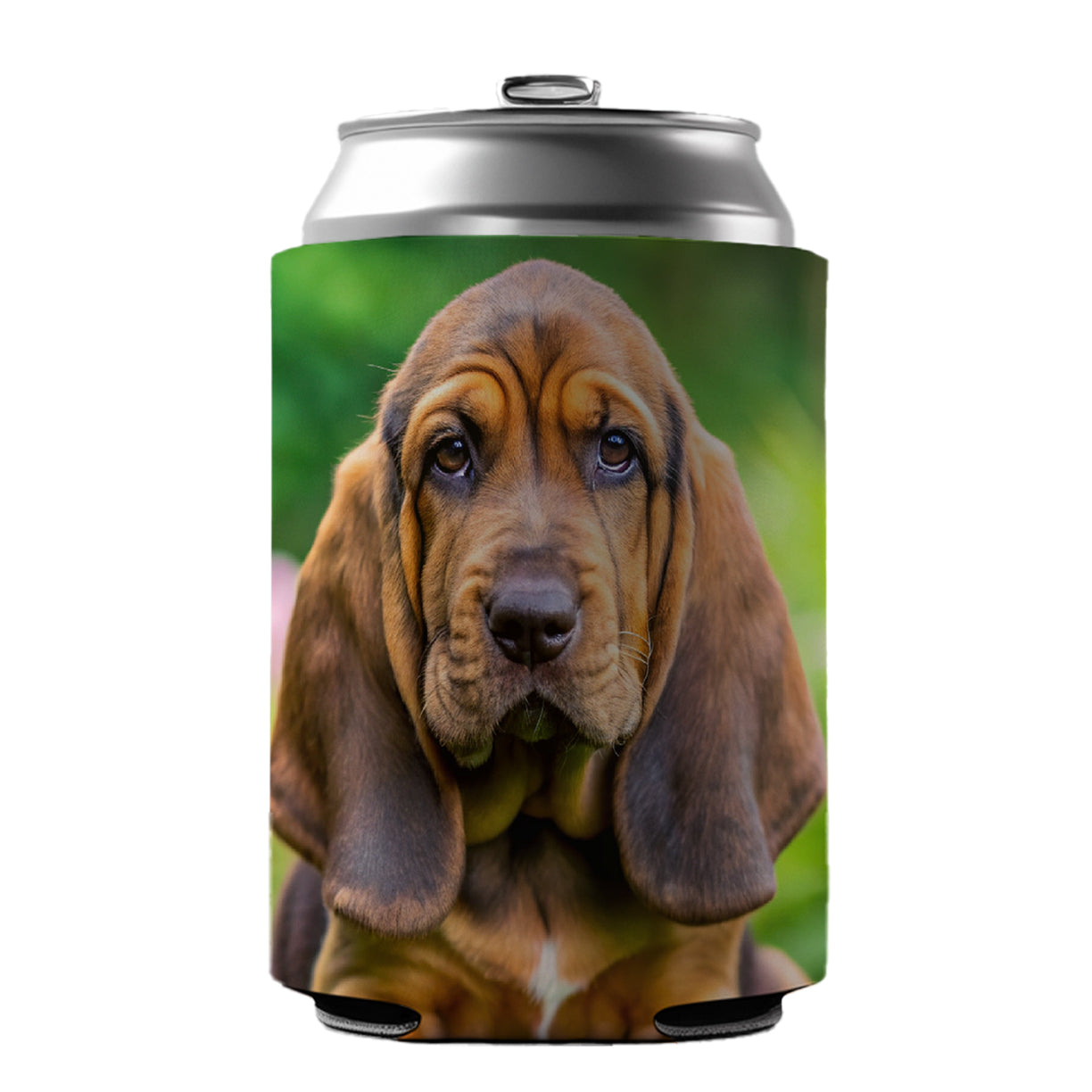 Bloodhound Dog Puppy Photo Can Cooler Beer Soda Drink Insulated Holder Sleeve Hugger