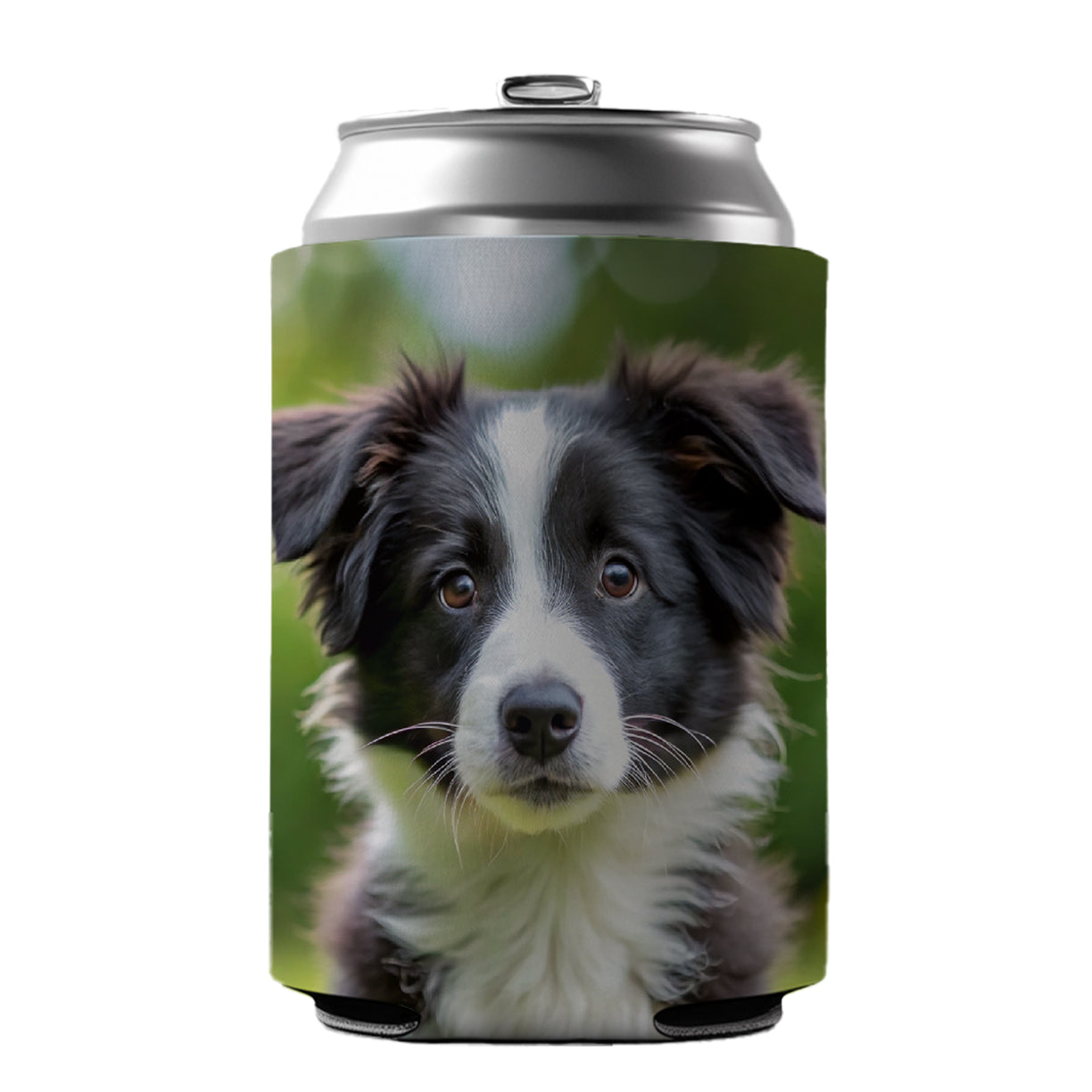 Border Collie Dog Puppy Photo Can Cooler Beer Soda Drink Insulated Holder Sleeve Hugger