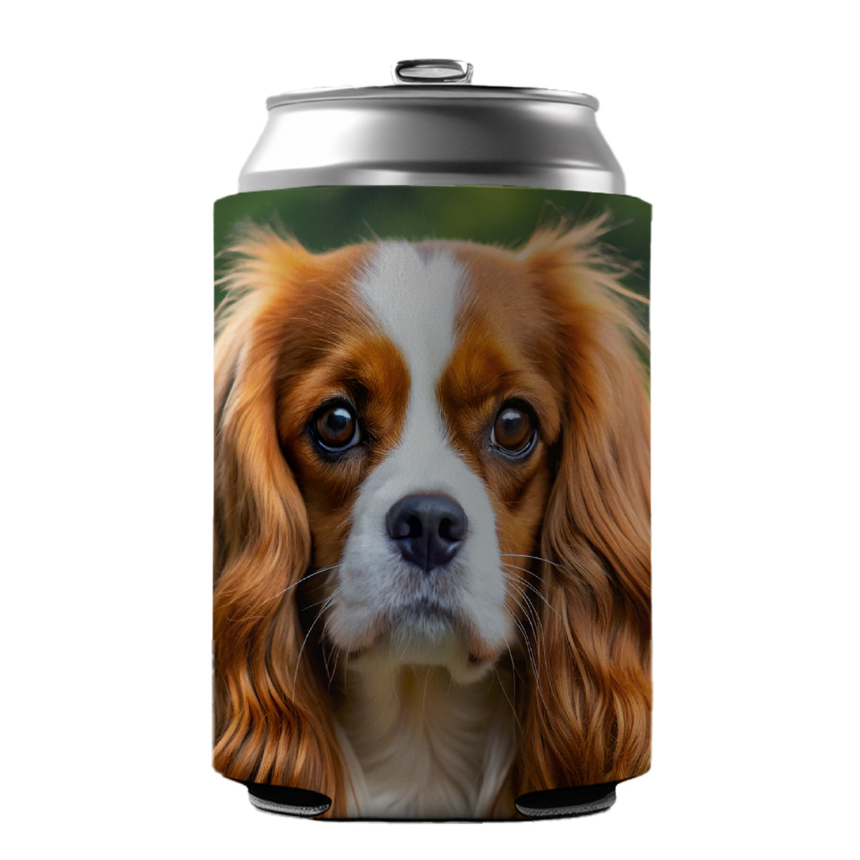 Cavalier King Charles Spaniel Dog Photo Can Cooler Beer Soda Drink Insulated Holder Sleeve Hugger