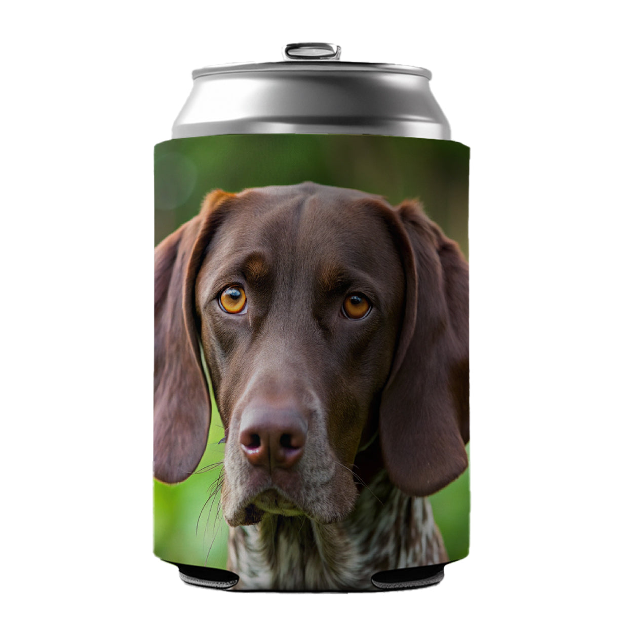 German Shorthaired Pointer Dog Photo Can Cooler Beer Soda Drink Insulated Holder Sleeve Hugger