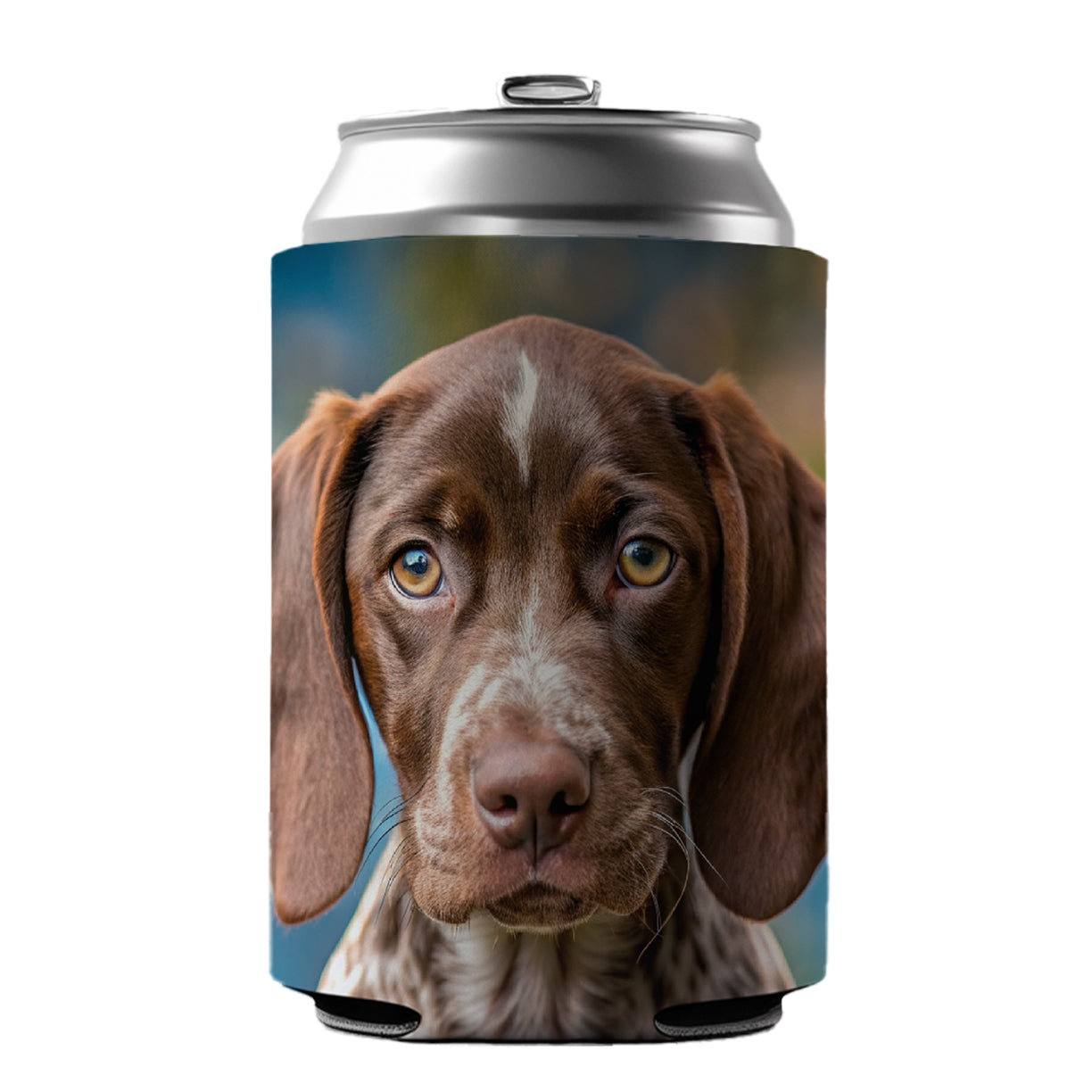 German Shorthaired Pointer Dog Puppy Photo Can Cooler Beer Soda Drink Insulated Holder Sleeve Hugger