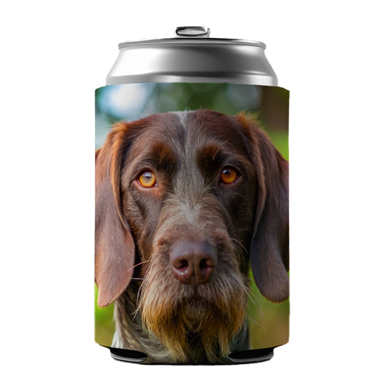 German Wirehaired Pointer Dog Photo Can Cooler Beer Soda Drink Insulated Holder Sleeve Hugger