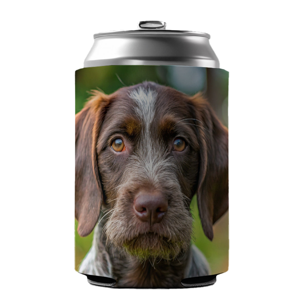 German Wirehaired Pointer Dog Puppy Photo Can Cooler Beer Soda Drink Insulated Holder Sleeve Hugger