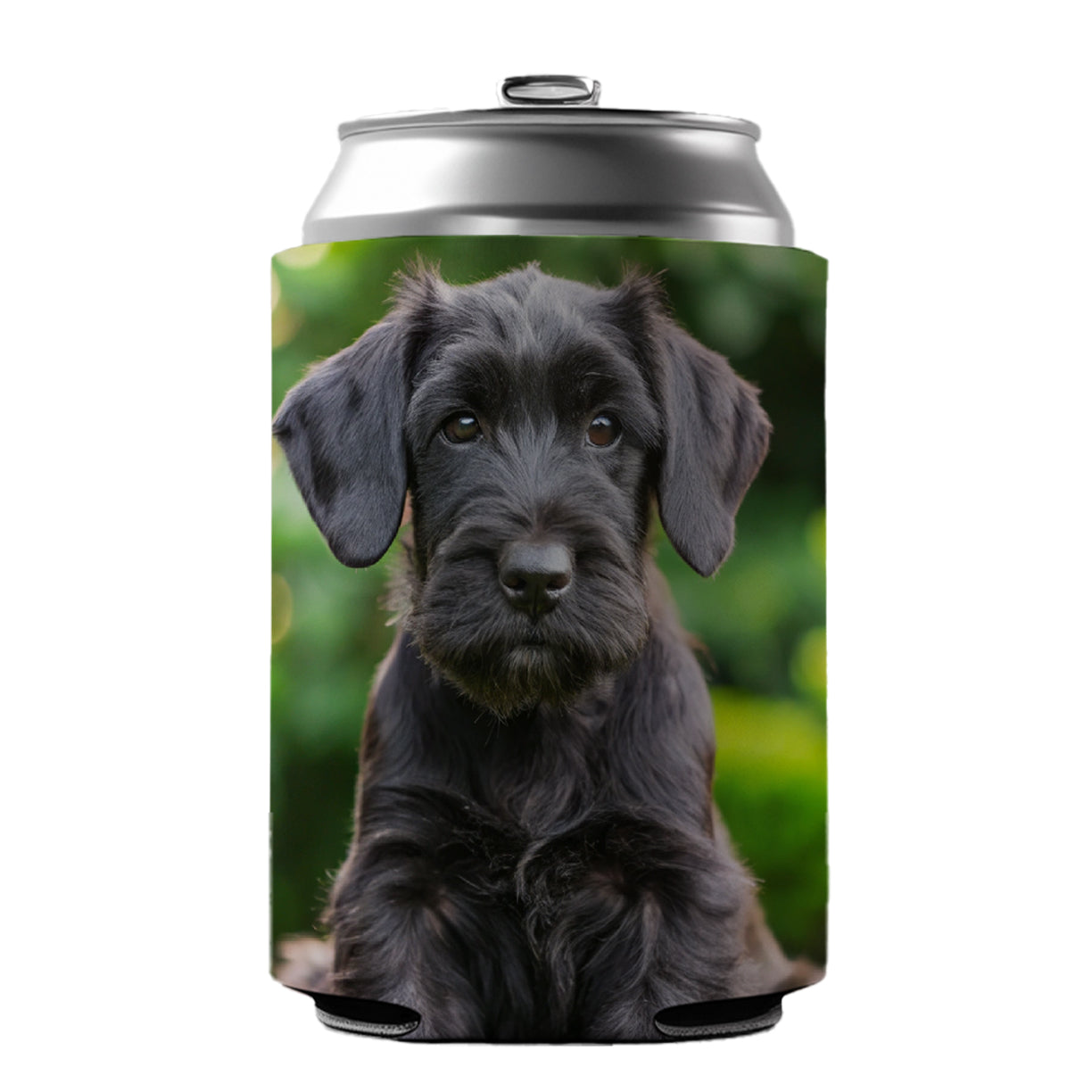 Giant Schnauzer Dog Puppy Photo Can Cooler Beer Soda Drink Insulated Holder Sleeve Hugger