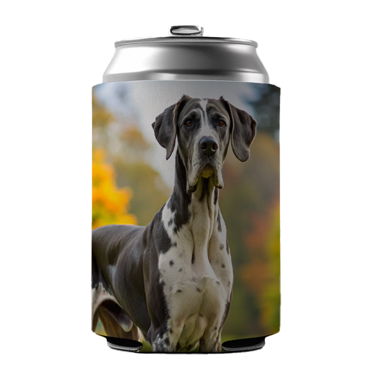 Great Dane Dog Photo Can Cooler Beer Soda Drink Insulated Holder Sleeve Hugger