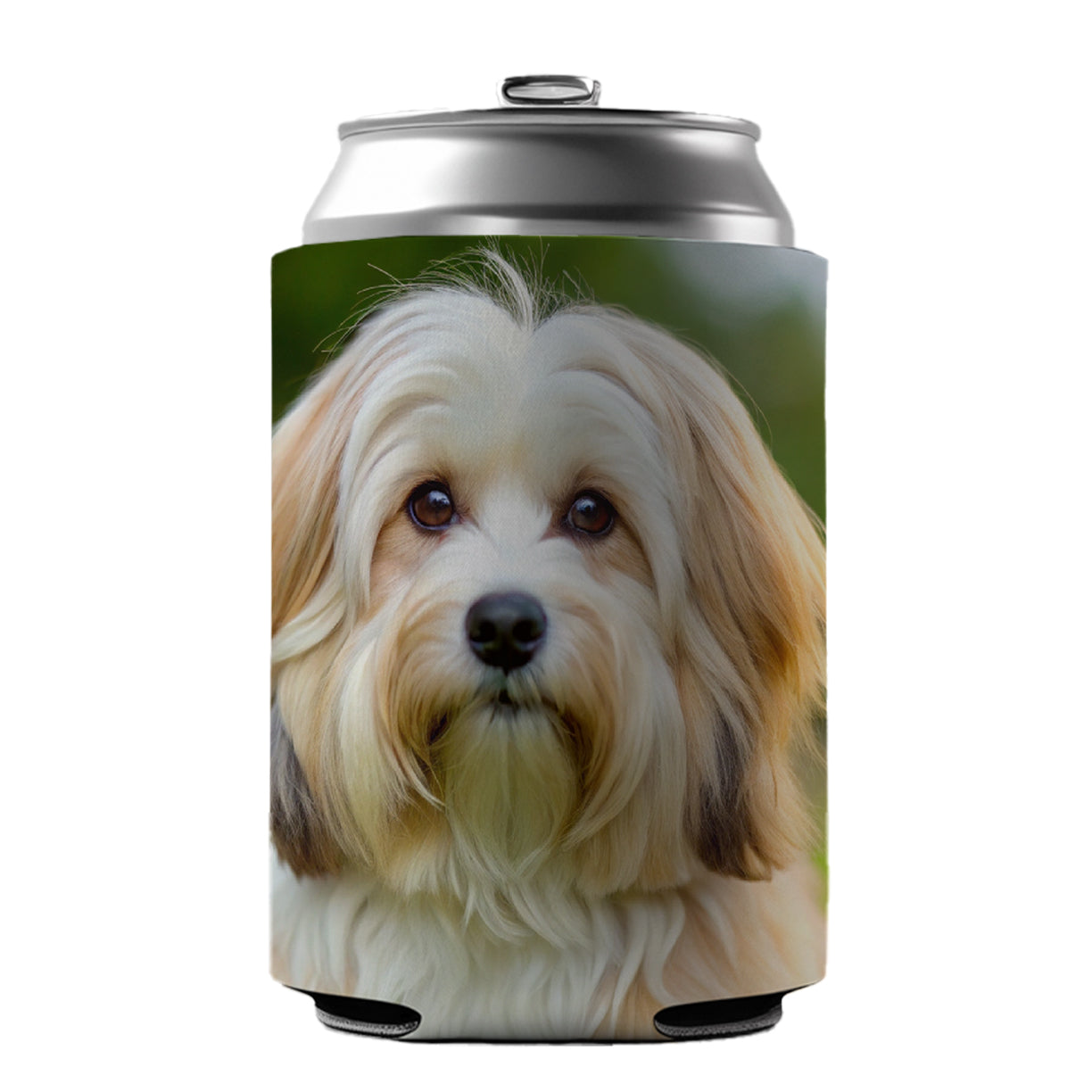 Havanese Dog Photo Can Cooler Beer Soda Drink Insulated Holder Sleeve Hugger