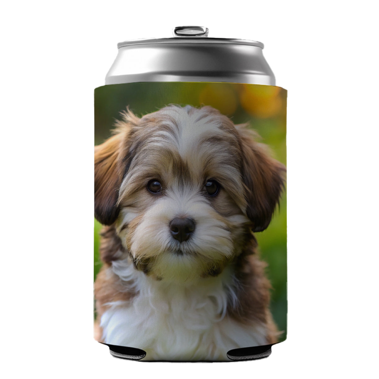 Havanese Dog Puppy Photo Can Cooler Beer Soda Drink Insulated Holder Sleeve Hugger