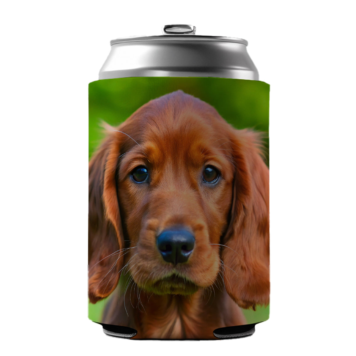 Irish Setter Dog Puppy Photo Can Cooler Beer Soda Drink Insulated Holder Sleeve Hugger