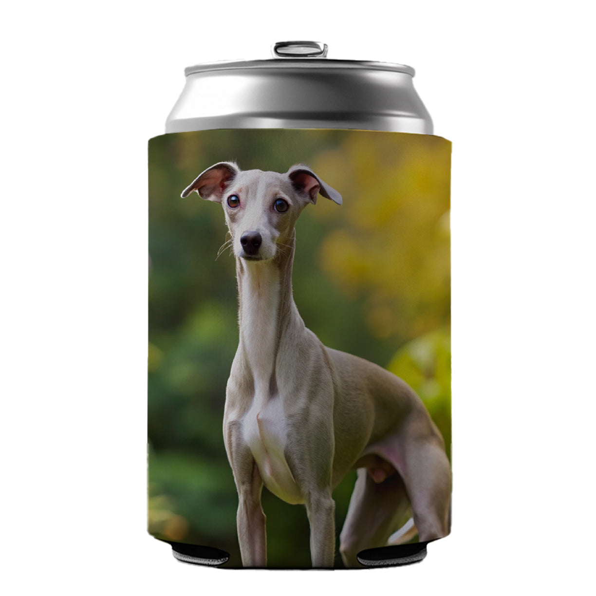 Italian Greyhound Dog Photo Can Cooler Beer Soda Drink Insulated Holder Sleeve Hugger