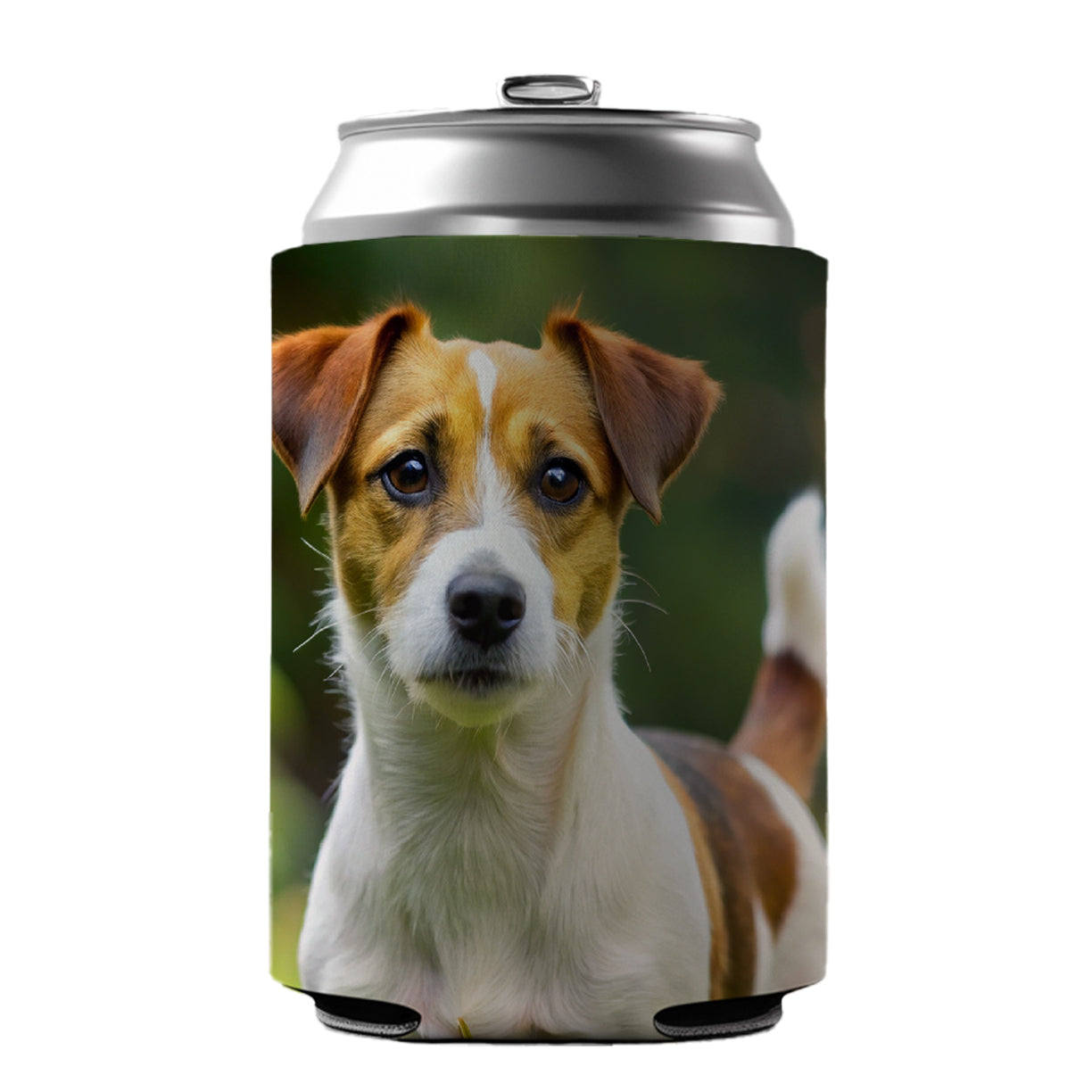 Jack Russell Terrier Dog Photo Can Cooler Beer Soda Drink Insulated Holder Sleeve Hugger