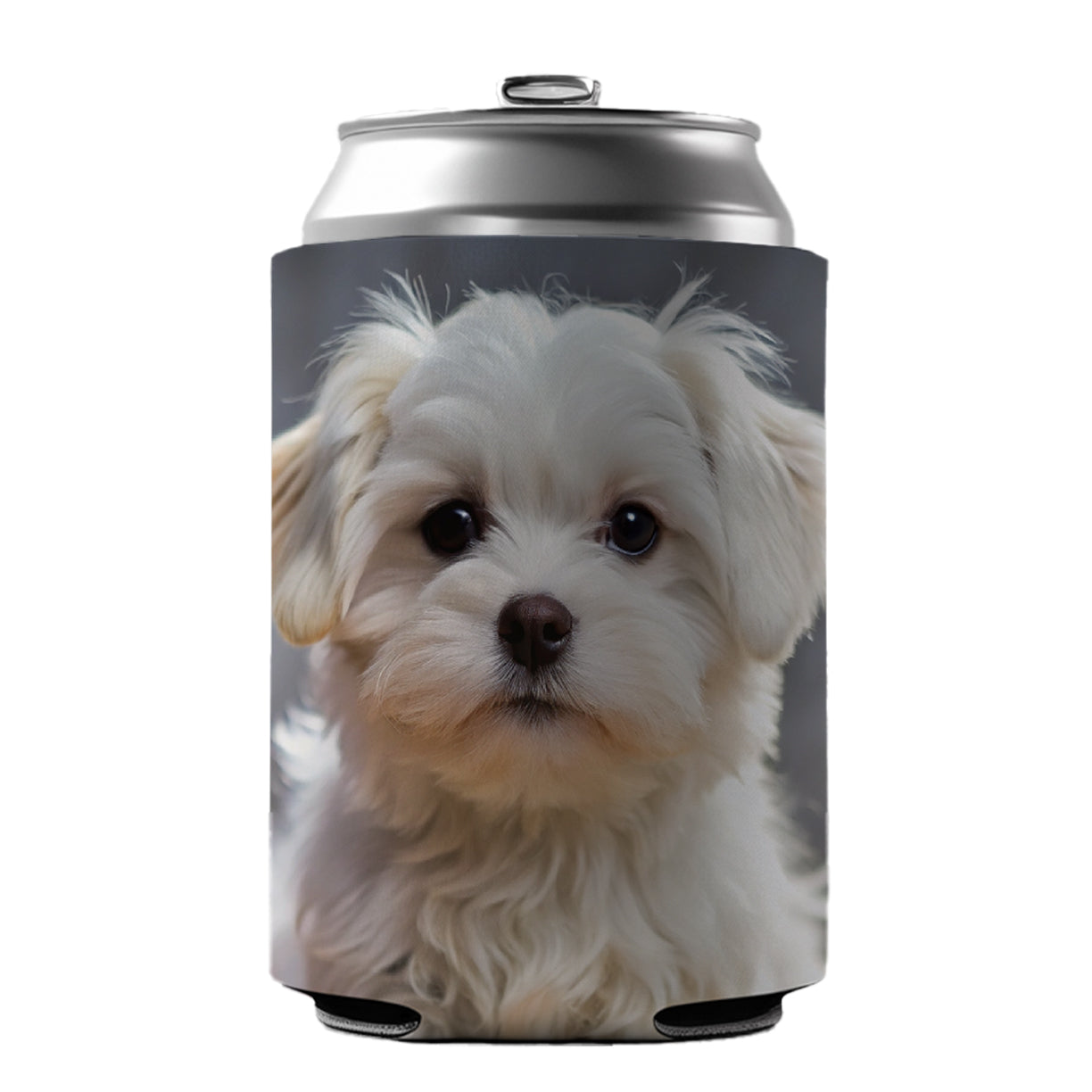 Maltese Dog Puppy Photo Can Cooler Beer Soda Drink Insulated Holder Sleeve Hugger