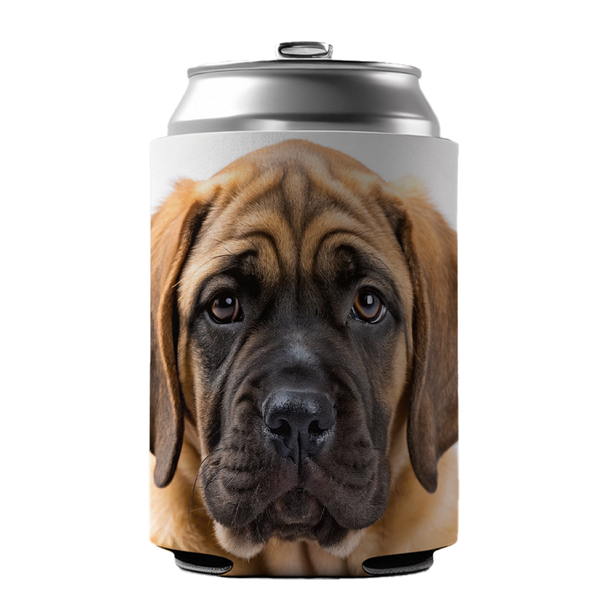 Mastiff Dog Puppy Photo Can Cooler Beer Soda Drink Insulated Holder Sleeve Hugger