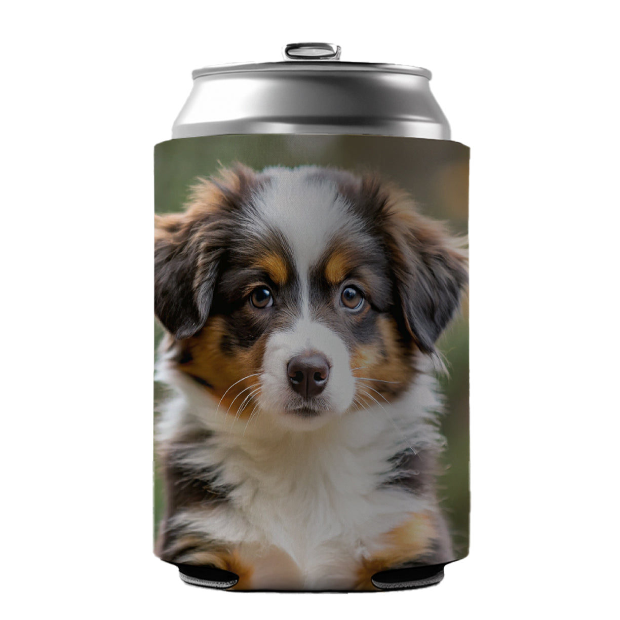 Miniature American Shepherd Dog Puppy Photo Can Cooler Beer Soda Drink Insulated Holder Sleeve Hugger