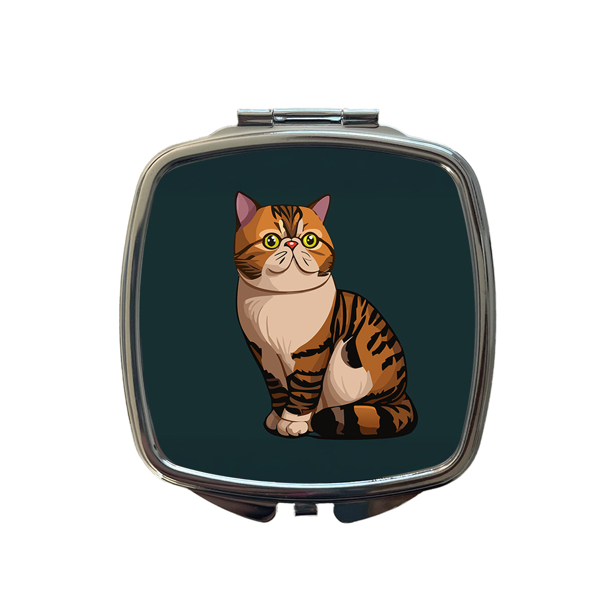 Exotic Shorthair Cat Sitting Small Travel Purse Handbag Pocket Makeup Compact Mirror