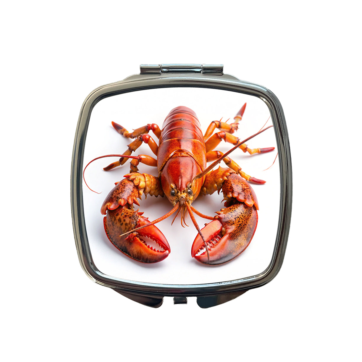 New England Lobster On White Background Small Travel Purse Handbag Pocket Makeup Compact Mirror