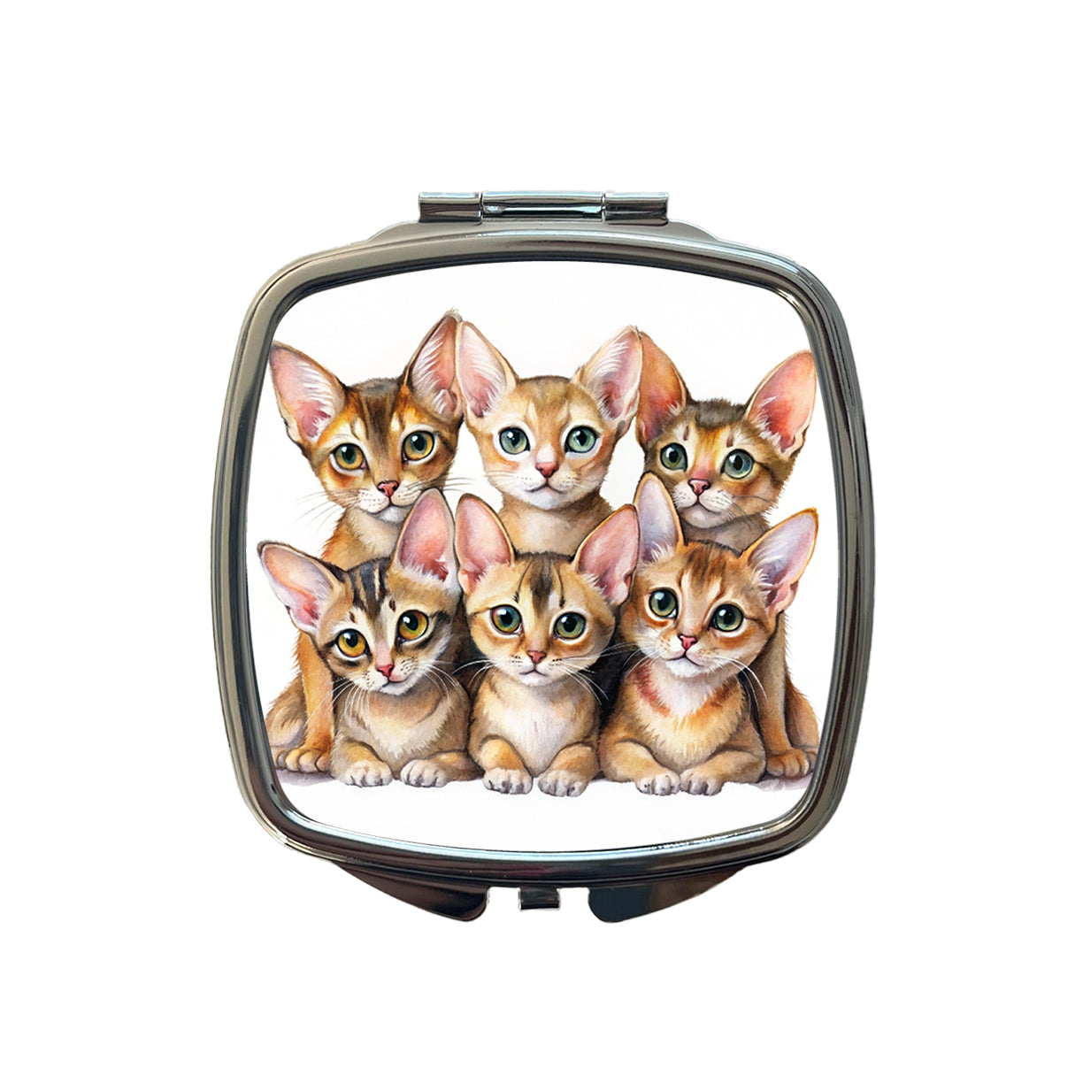 Sweet Abyssinian Cats Small Travel Purse Handbag Pocket Makeup Compact Mirror