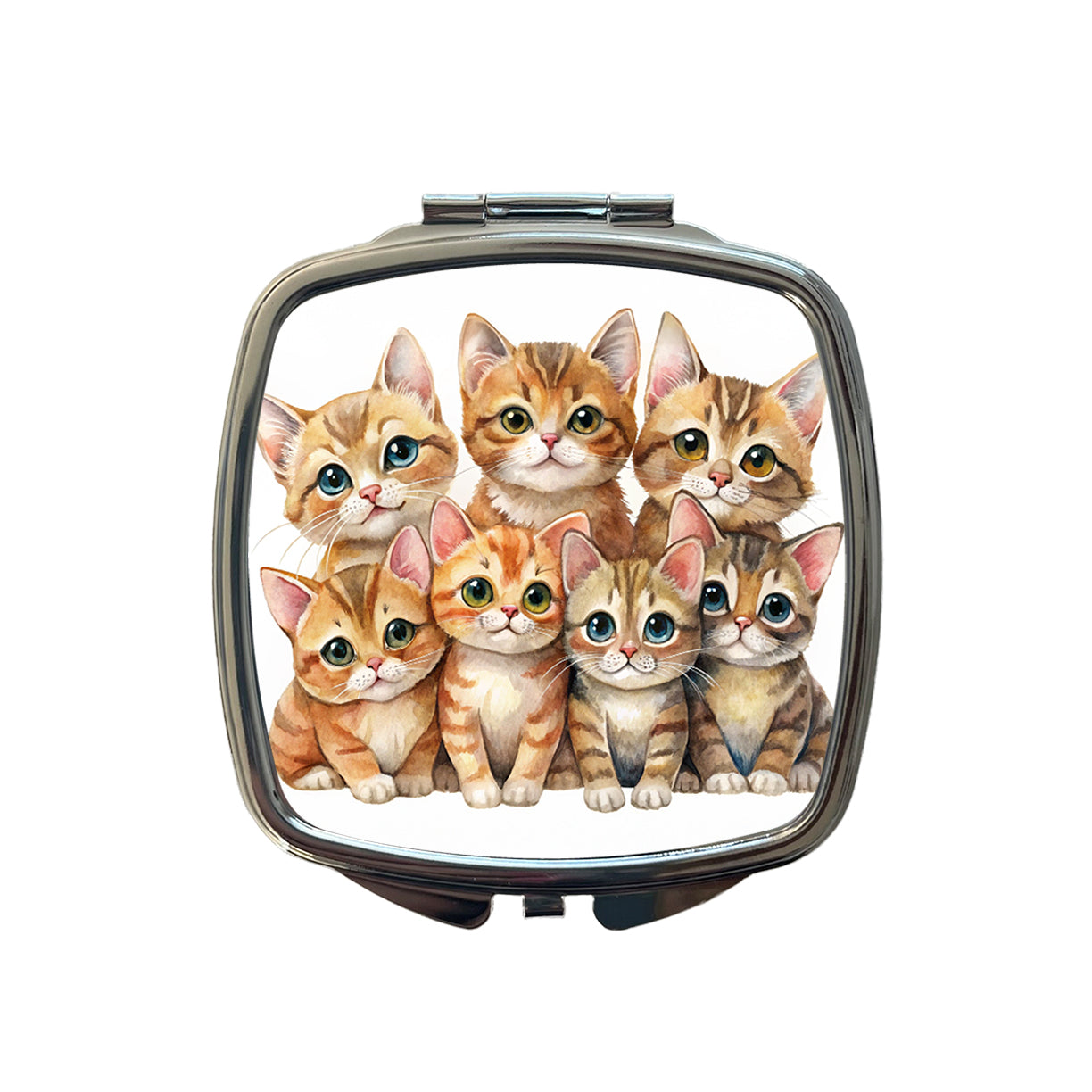Sweet Havana Brown Cats Small Travel Purse Handbag Pocket Makeup Compact Mirror