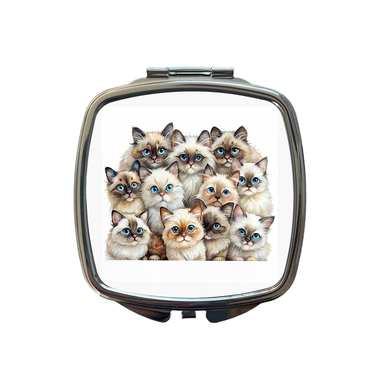 Sweet Himalayan Cats Small Travel Purse Handbag Pocket Makeup Compact Mirror