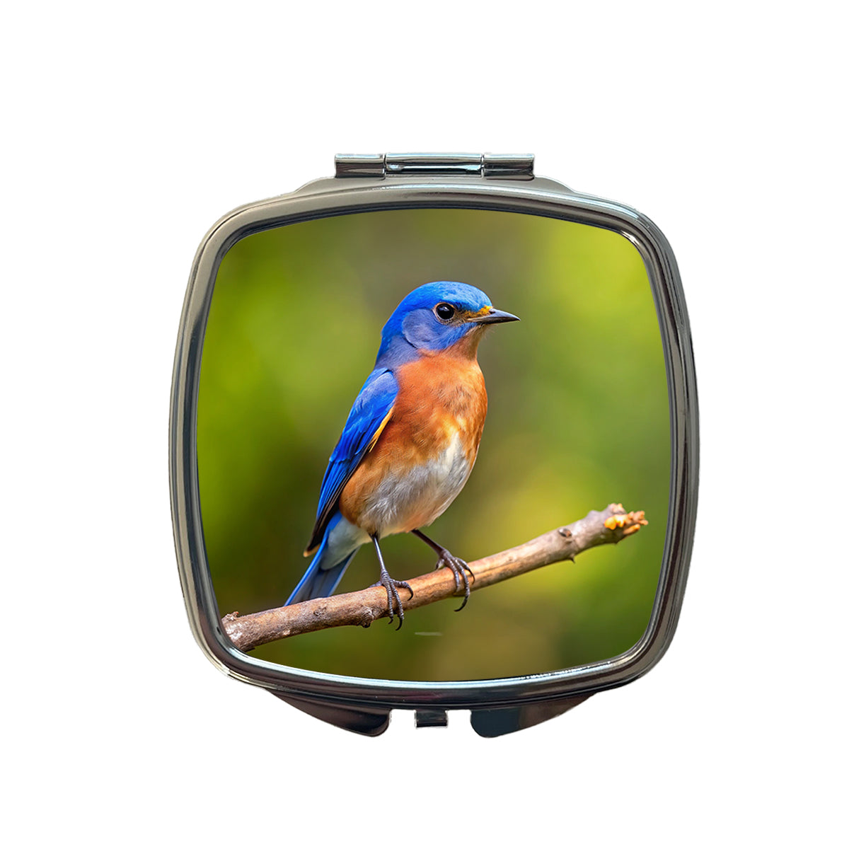Eastern Bluebird Backyard Bird Small Travel Purse Handbag Pocket Makeup Compact Mirror
