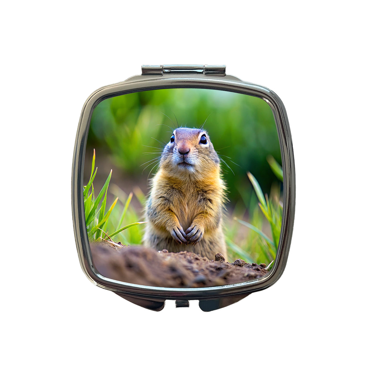 Gopher Small Travel Purse Handbag Pocket Makeup Compact Mirror