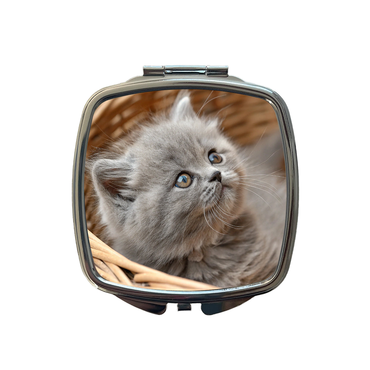 Gray British Longhair Kitten in a Basket Small Travel Purse Handbag Pocket Makeup Compact Mirror