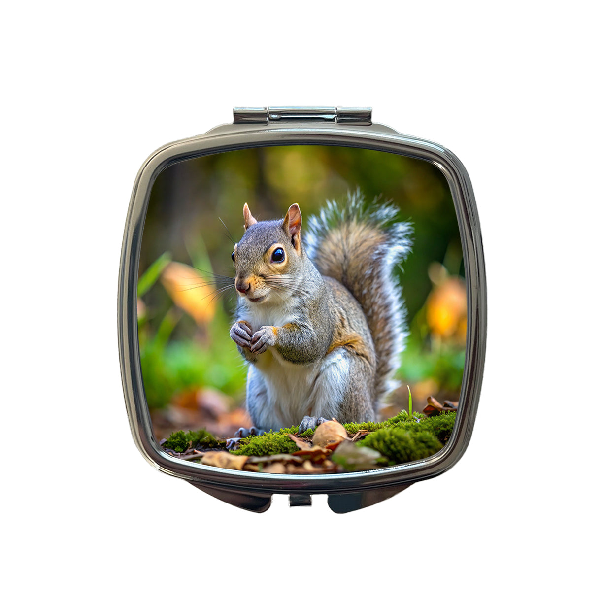 Gray Squirrel Small Travel Purse Handbag Pocket Makeup Compact Mirror