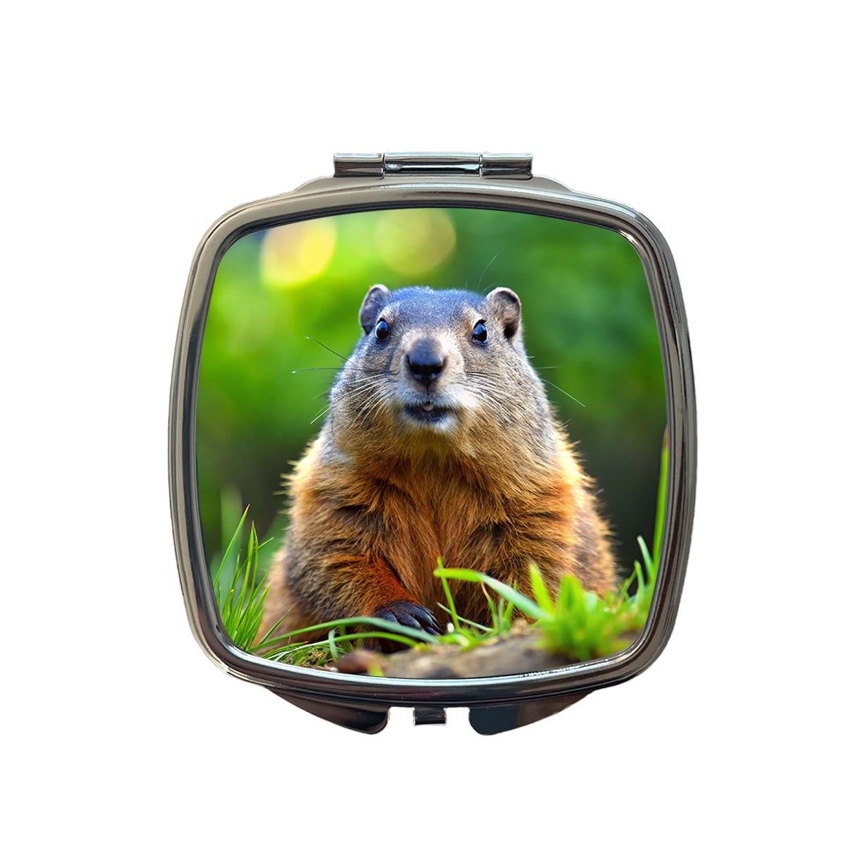 Groundhog Small Travel Purse Handbag Pocket Makeup Compact Mirror