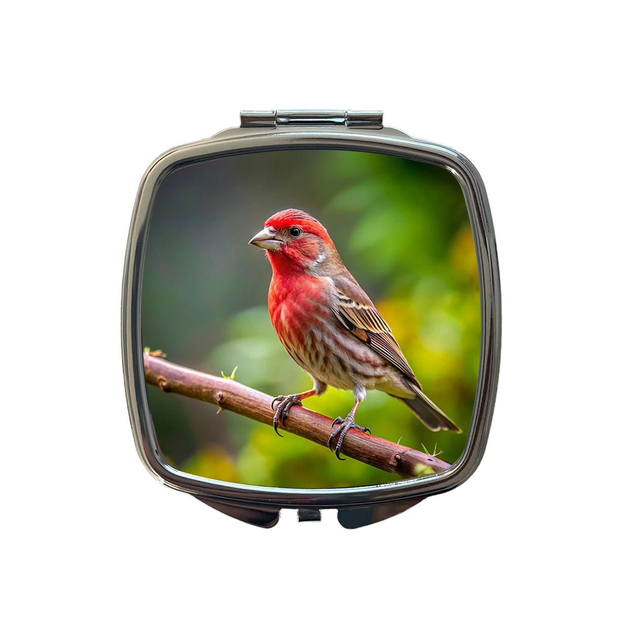 House Finch Backyard Bird Small Travel Purse Handbag Pocket Makeup Compact Mirror
