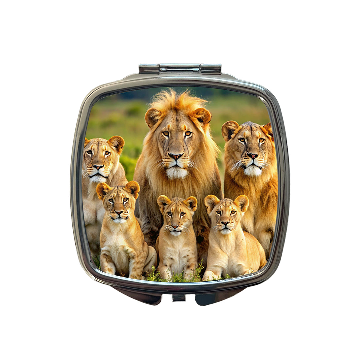 Lion Pride Family Small Travel Purse Handbag Pocket Makeup Compact Mirror