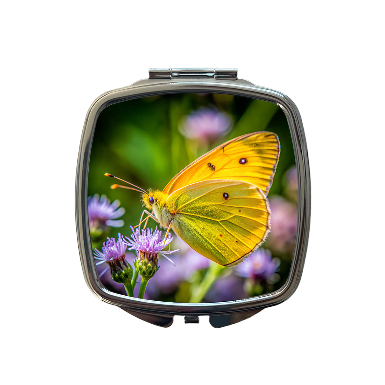 Orange Sulphur Butterfly Small Travel Purse Handbag Pocket Makeup Compact Mirror