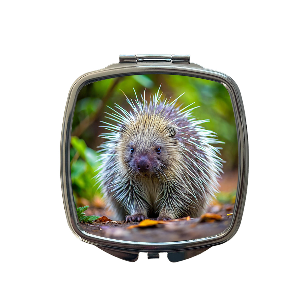 Porcupine Small Travel Purse Handbag Pocket Makeup Compact Mirror