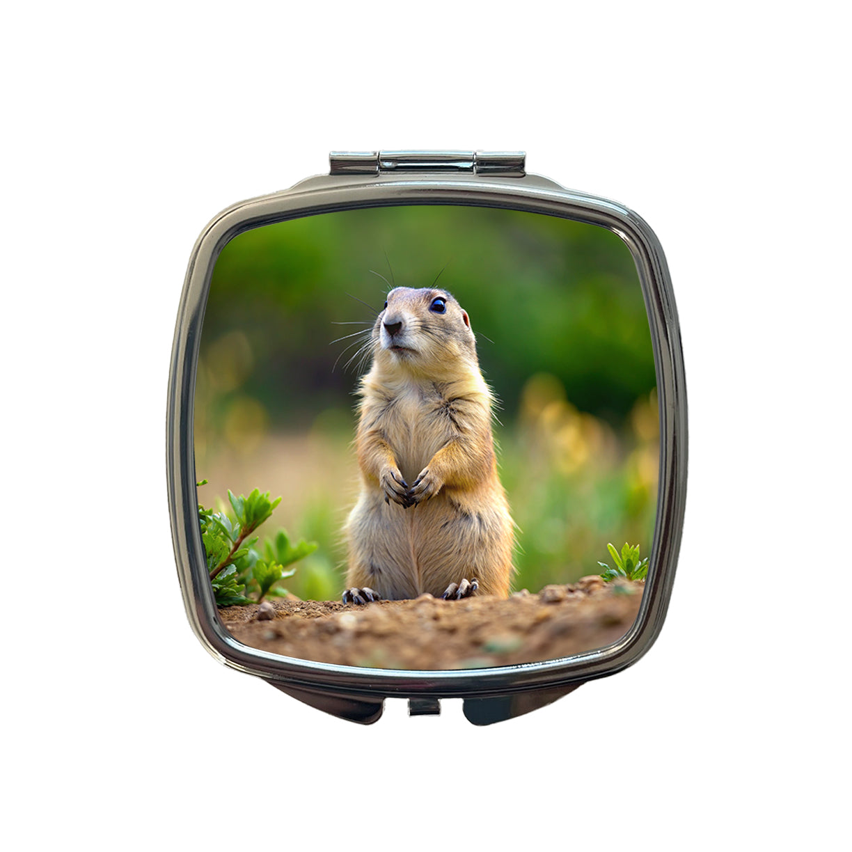 Prairie Dog Small Travel Purse Handbag Pocket Makeup Compact Mirror
