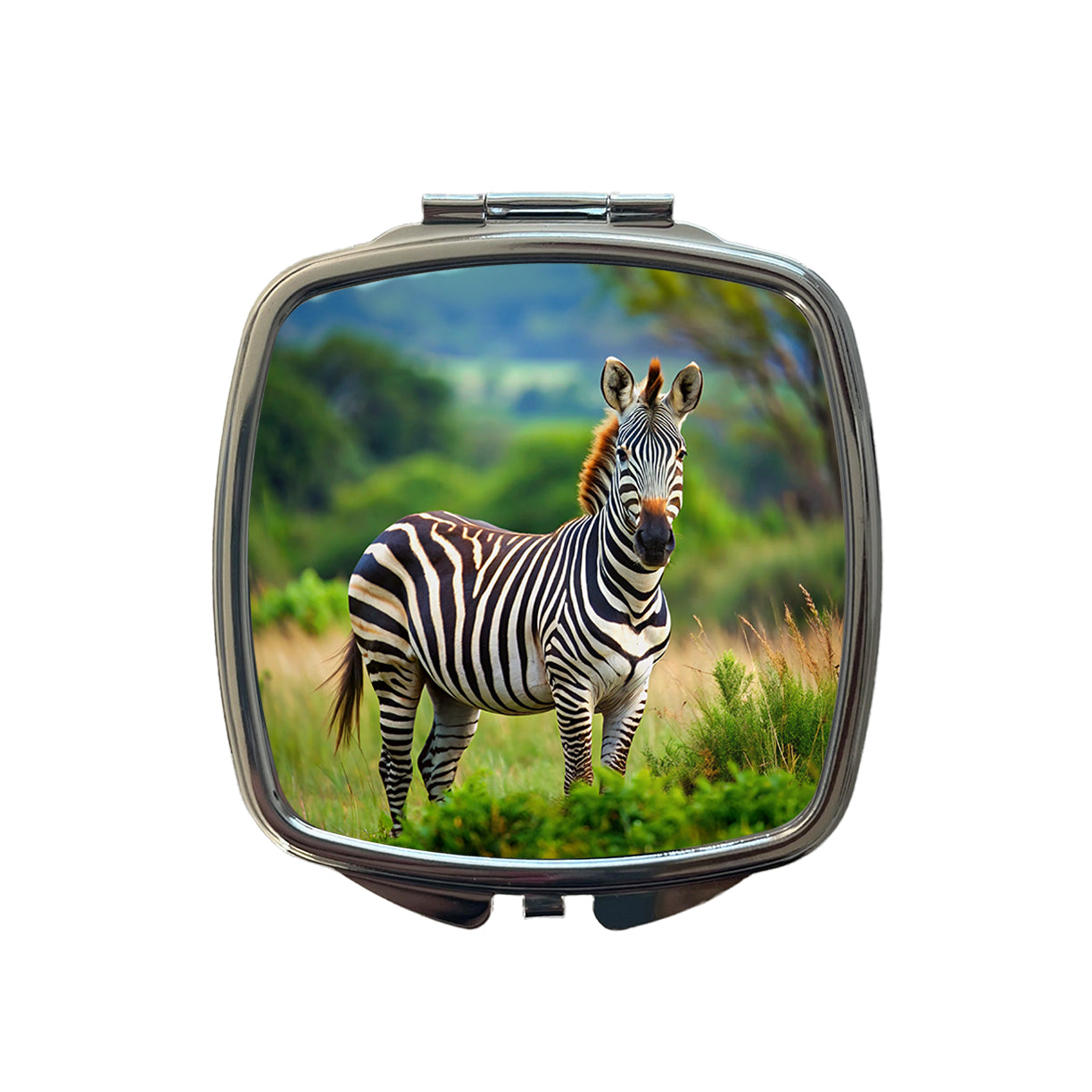Zebra Small Travel Purse Handbag Pocket Makeup Compact Mirror