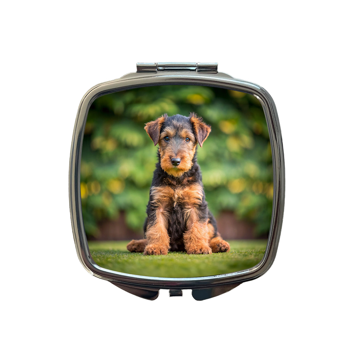 Airedale Terrier Dog Puppy Photo Small Travel Purse Handbag Pocket Makeup Compact Mirror
