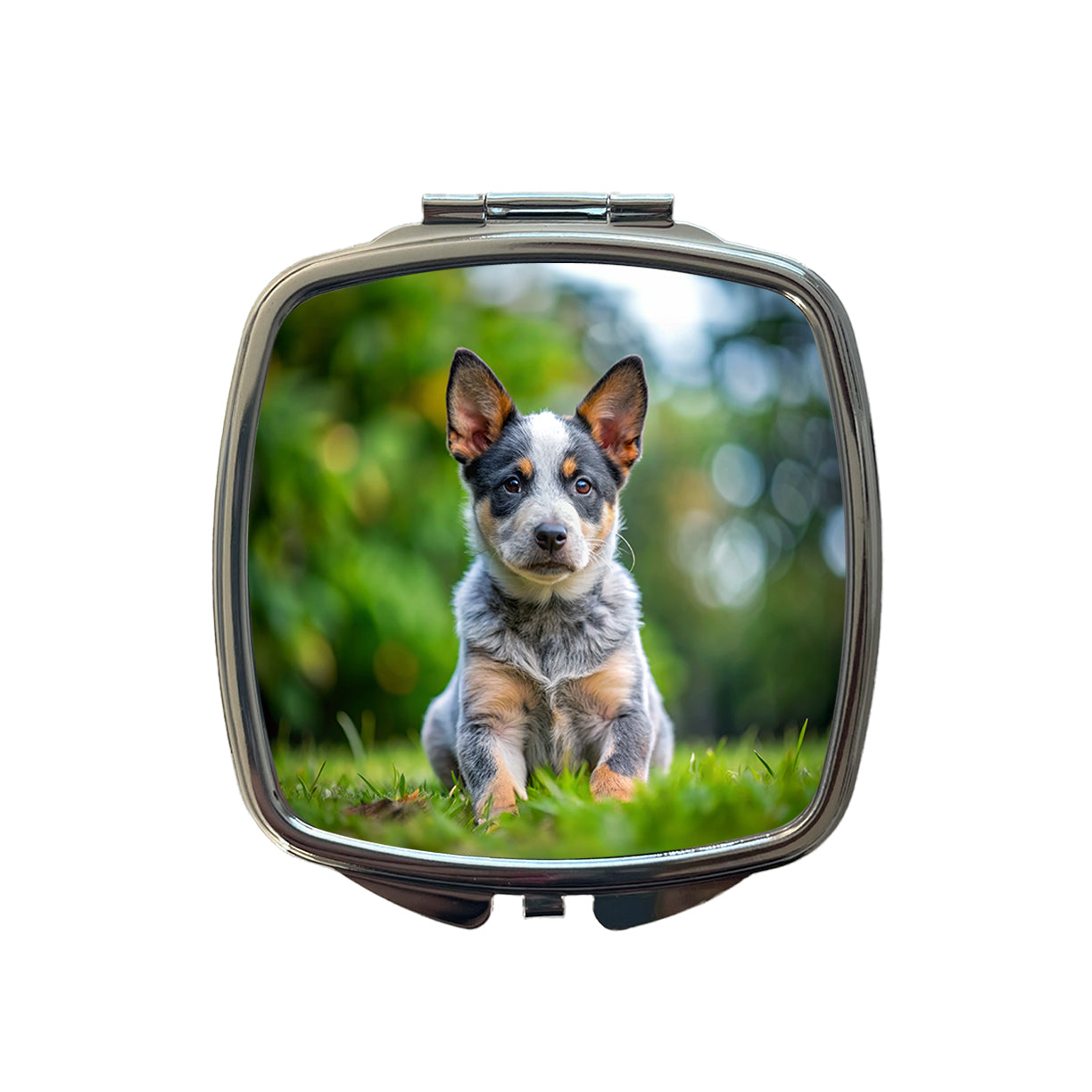 Australian Cattle Dog Puppy Photo Small Travel Purse Handbag Pocket Makeup Compact Mirror