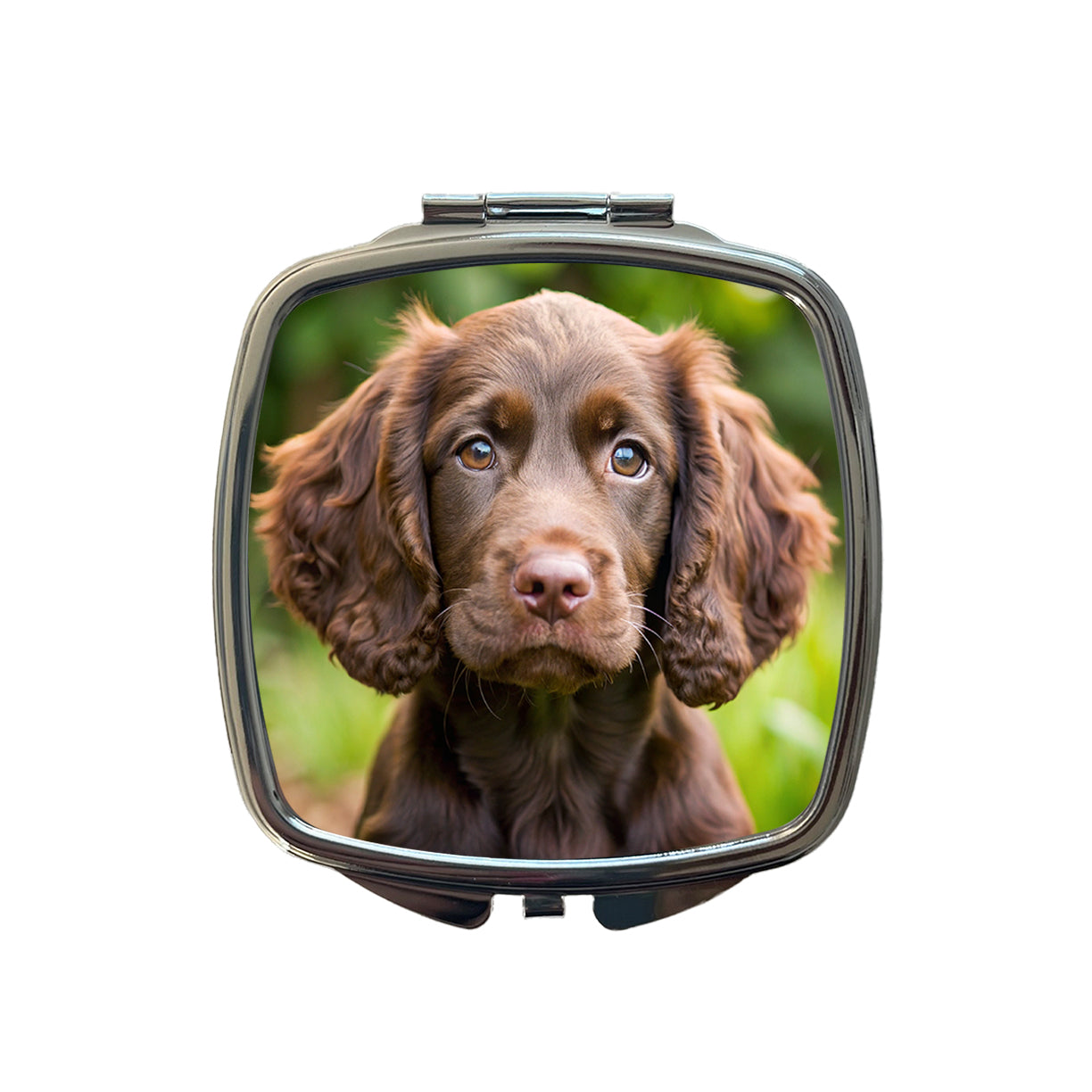 Boykin Spaniel Dog Puppy Photo Small Travel Purse Handbag Pocket Makeup Compact Mirror