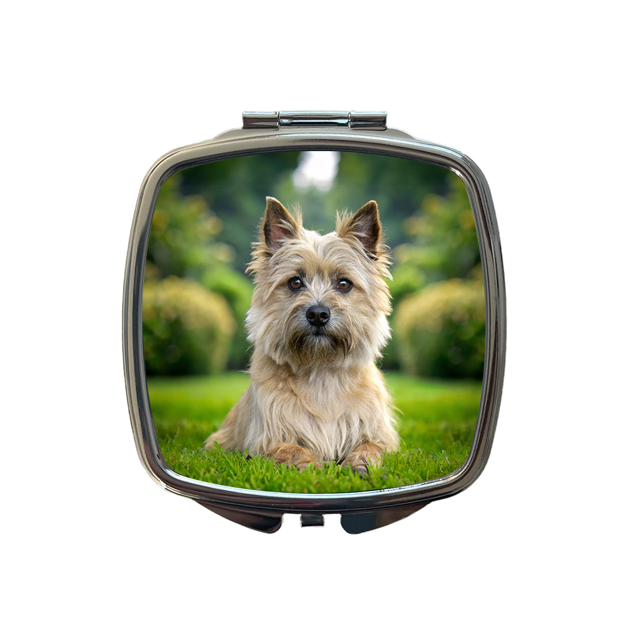 Cairn Terrier Dog Photo Small Travel Purse Handbag Pocket Makeup Compact Mirror