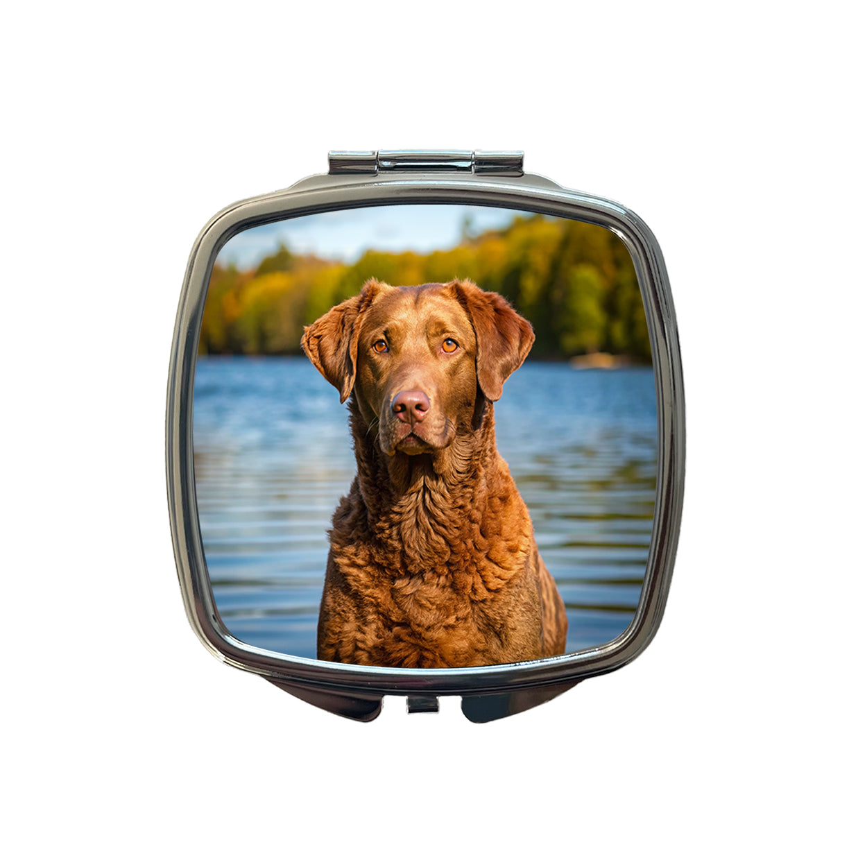 Chesapeake Bay Retriever Dog Photo Small Travel Purse Handbag Pocket Makeup Compact Mirror